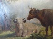 A panel painting of two cows